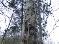 Sortie Phalsbourg CV Wingen 28 02 2016 (34)